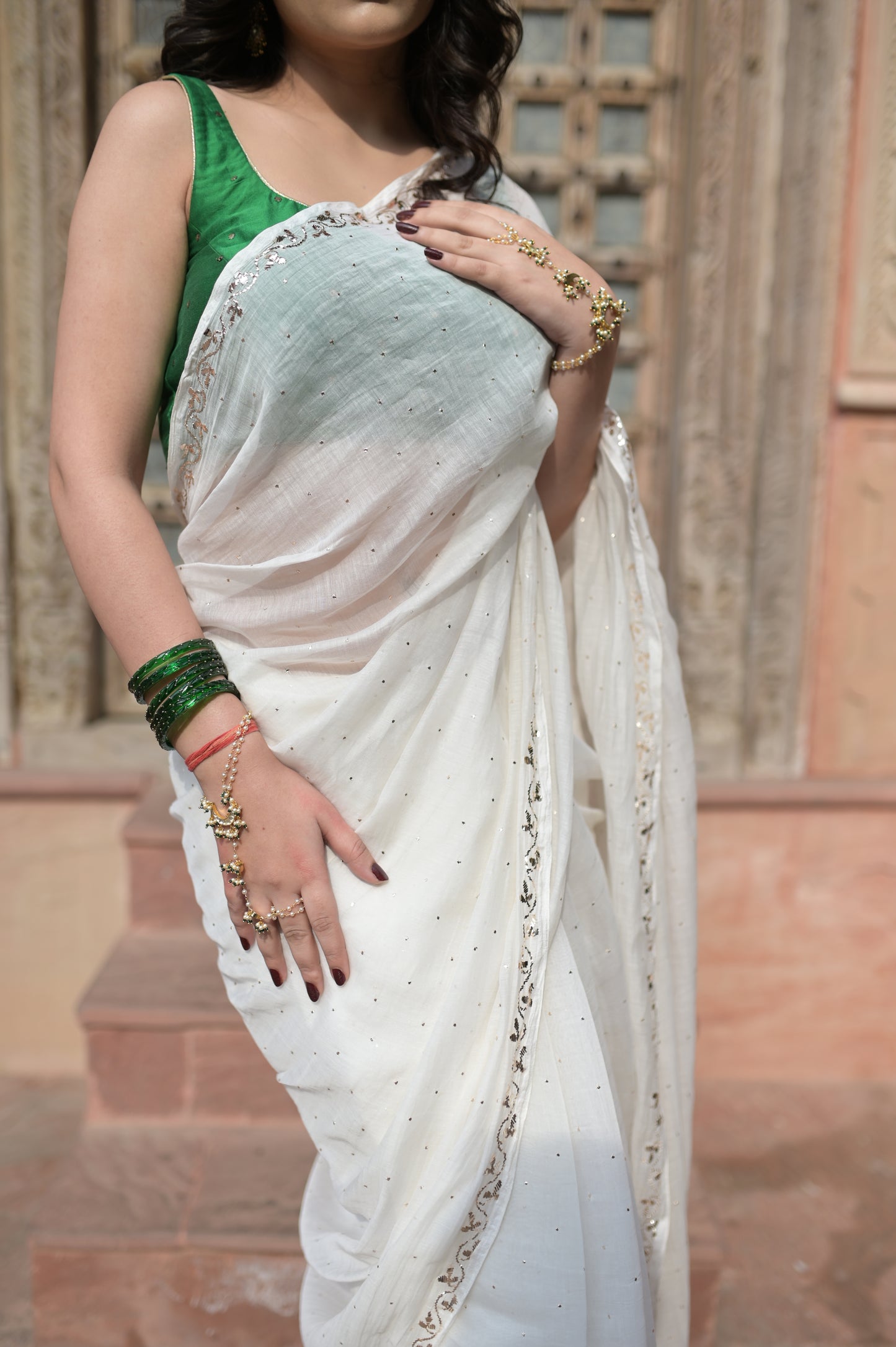 Sitara Bel Saree