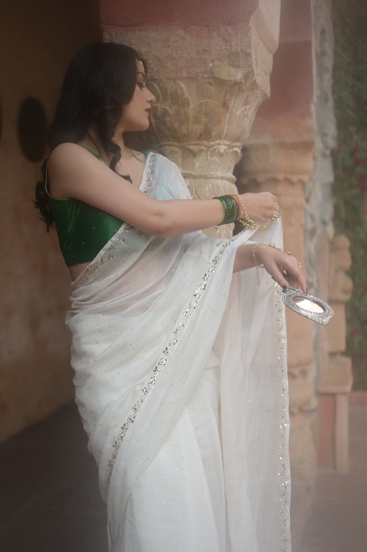 Sitara Bel Saree