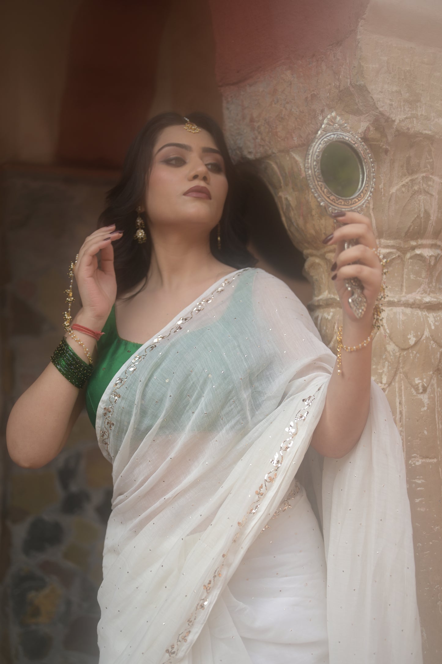 Sitara Bel Saree